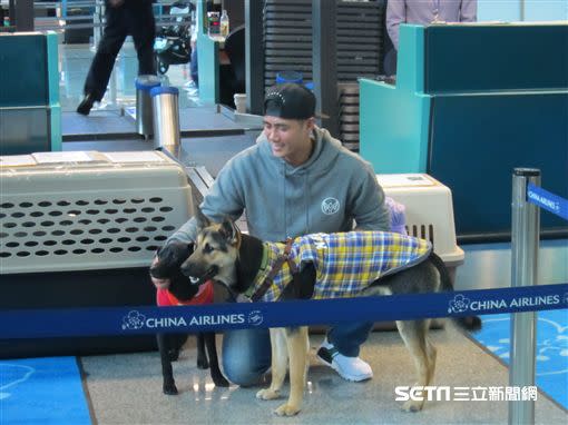 陳偉殷年初帶2隻流浪犬飛往美國。（資料照／記者蕭保祥攝影）