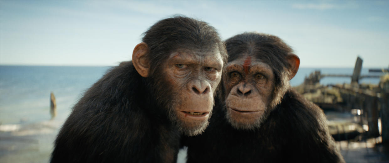 Noa and Dar in Kingdom of the Planet of the Apes