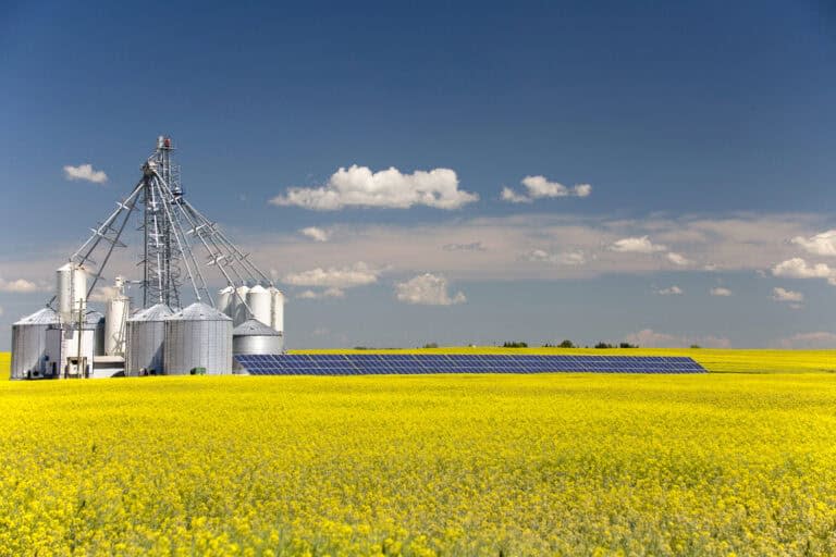 A steel grain silo storage tank with solar panel in a yellow canola field in bloom in Alberta, Canada.