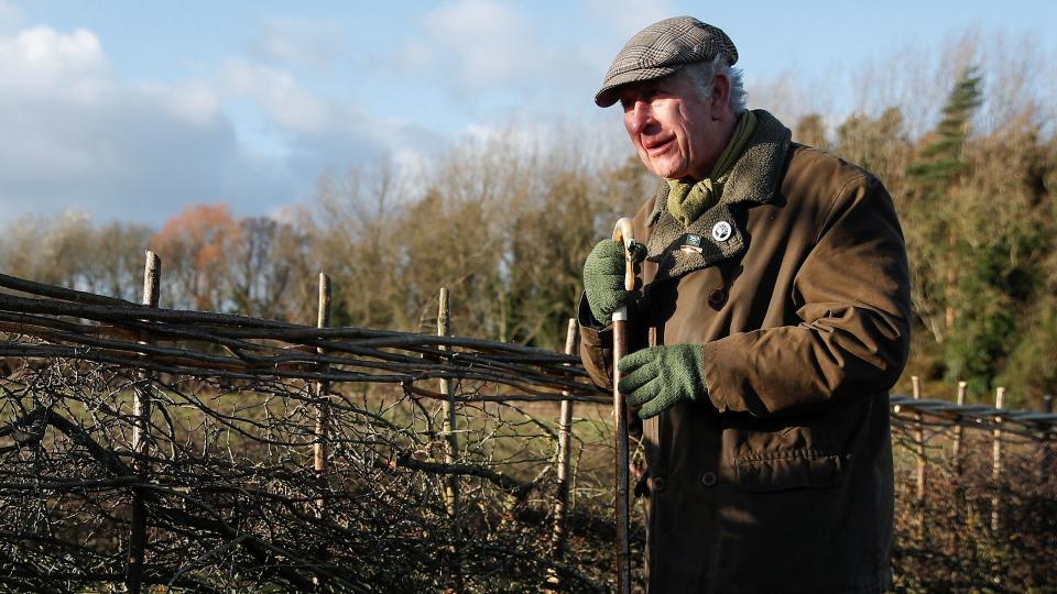 King Charles attends a hedge-laying event at Highgrove Estate