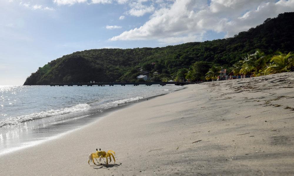 <span>Photograph: Alain Jocard/AFP/Getty Images</span>