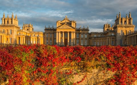 Blenheim Palace - Credit: Melodie Manners