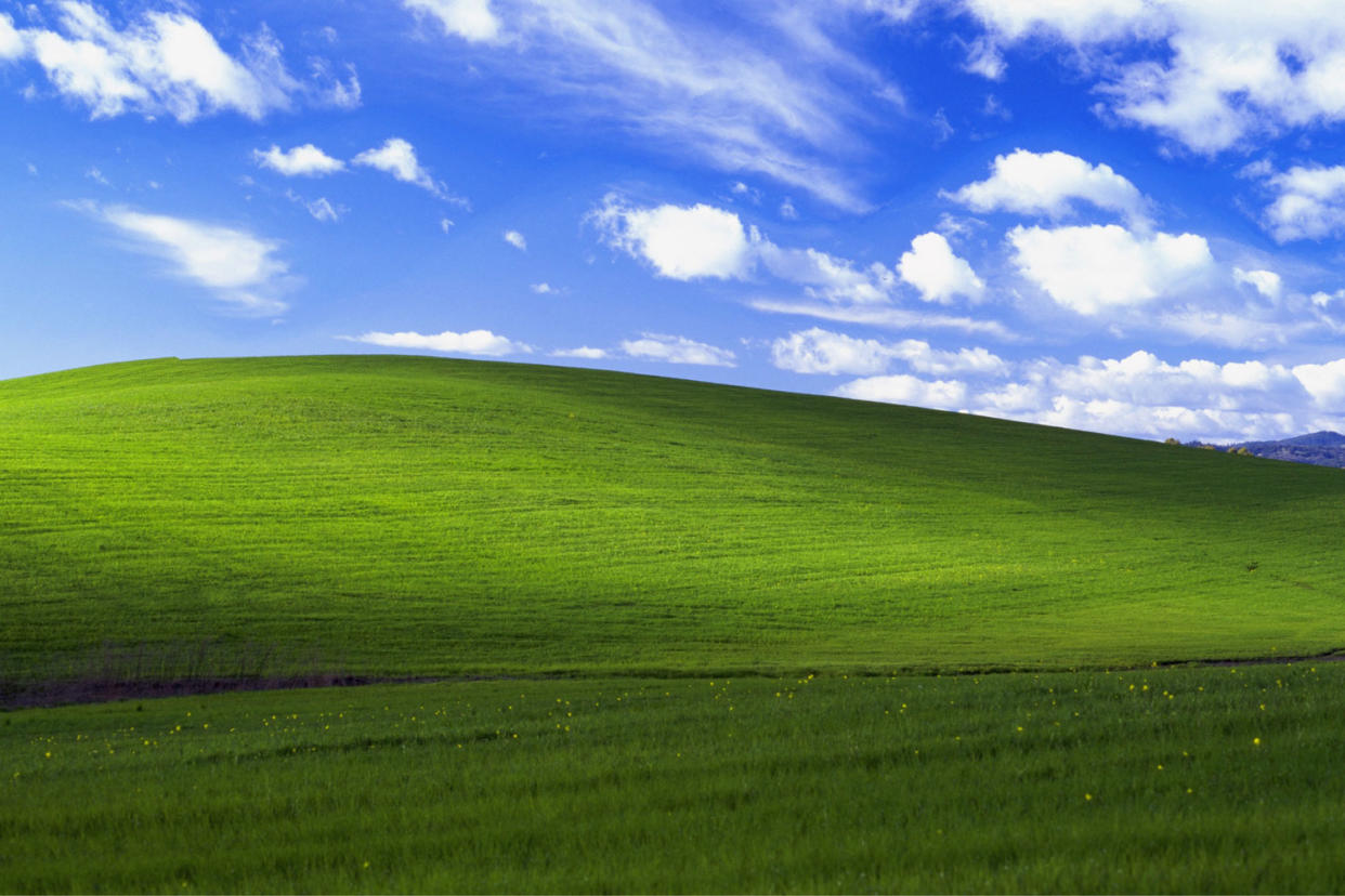 Famous photo: Bliss, by Charles O'Rear, became the default desktop for Windows XP: Charles O'Rear/Microsoft