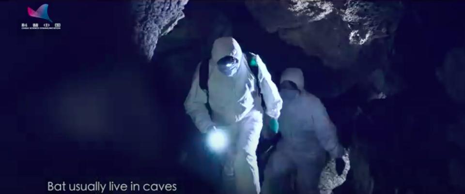 china bat cave video screen grab