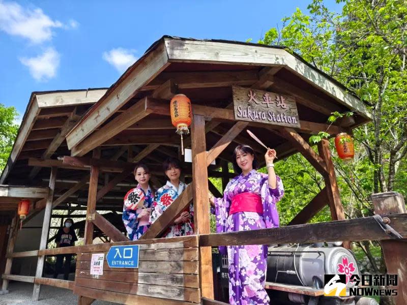 ▲新社櫻花鳥森林園區，遊客可以搭乘小火車穿越櫻花隧道，浪漫非常。（圖／記者金武鳳攝，2024.2.22)