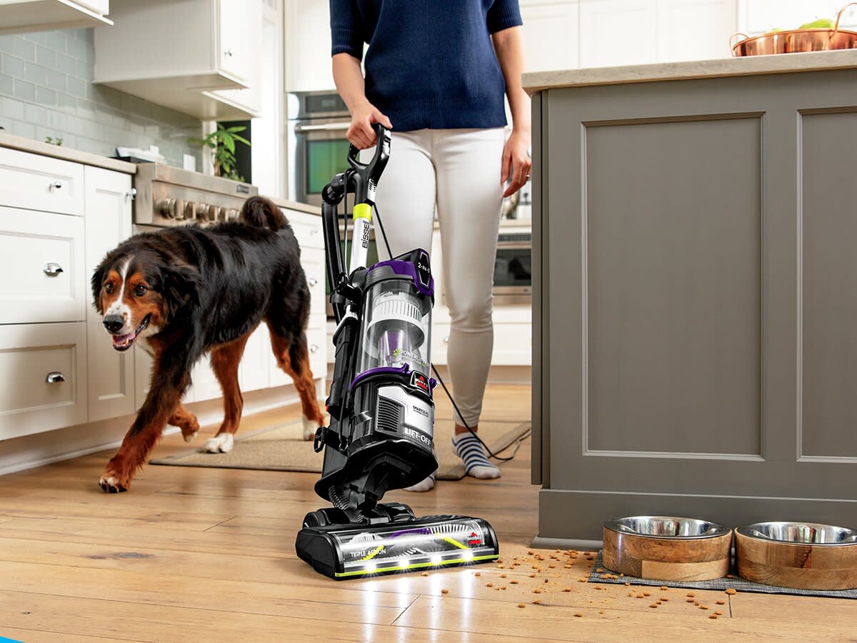 Bissell Powerlifter Pet Lift-off Upright Vacuum Cleaner