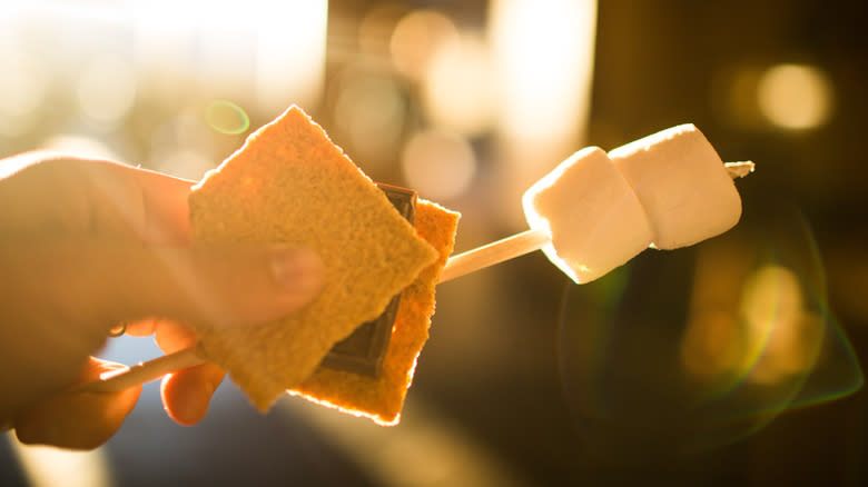 person putting s'mores together