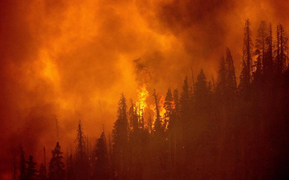 A windy fire burns along a ridge in Sequoia National Forest, California, in September last year