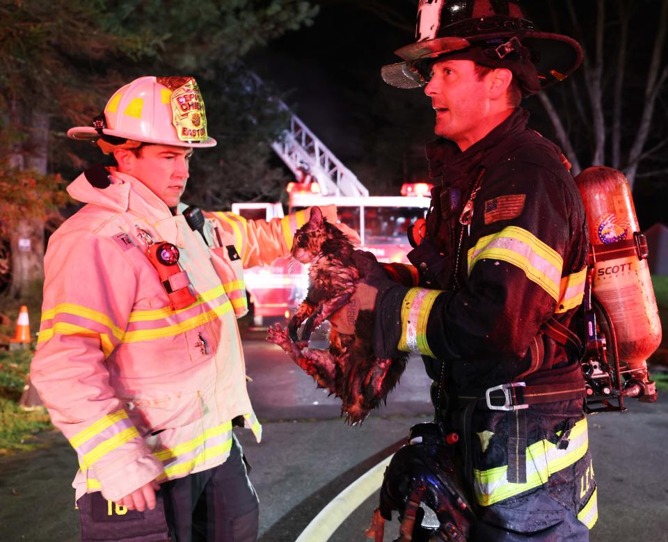 Easton firefighters rescued a cat while batting a fire in a single-family home at 30 Eisenhower Drive on Friday morning, Nov. 25, 2022.