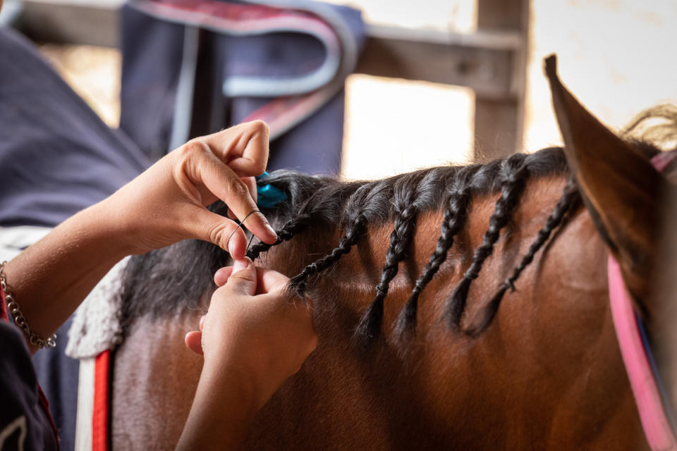 A person braiding a horse's hair