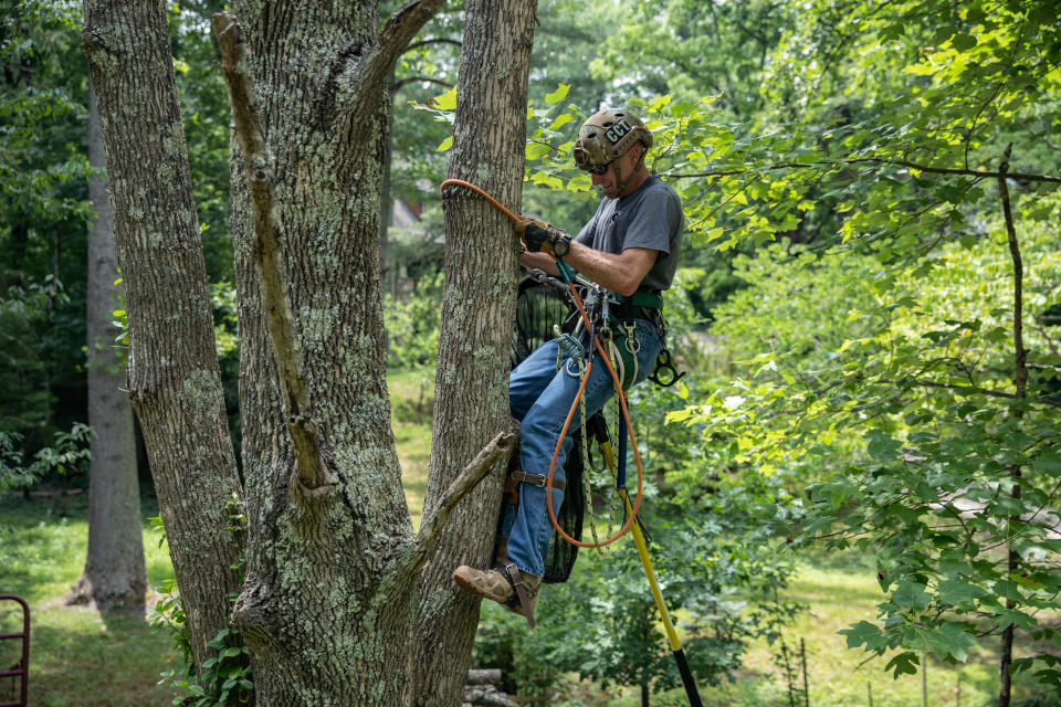 U.S. Air Force veteran Spencer Cocanour demonstrate his cat-rescue procedures at his home in Asheville on June 24, 2022.