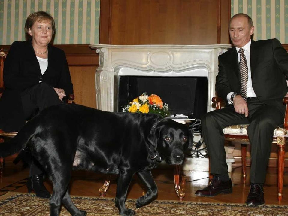 Vladimir Putin dog