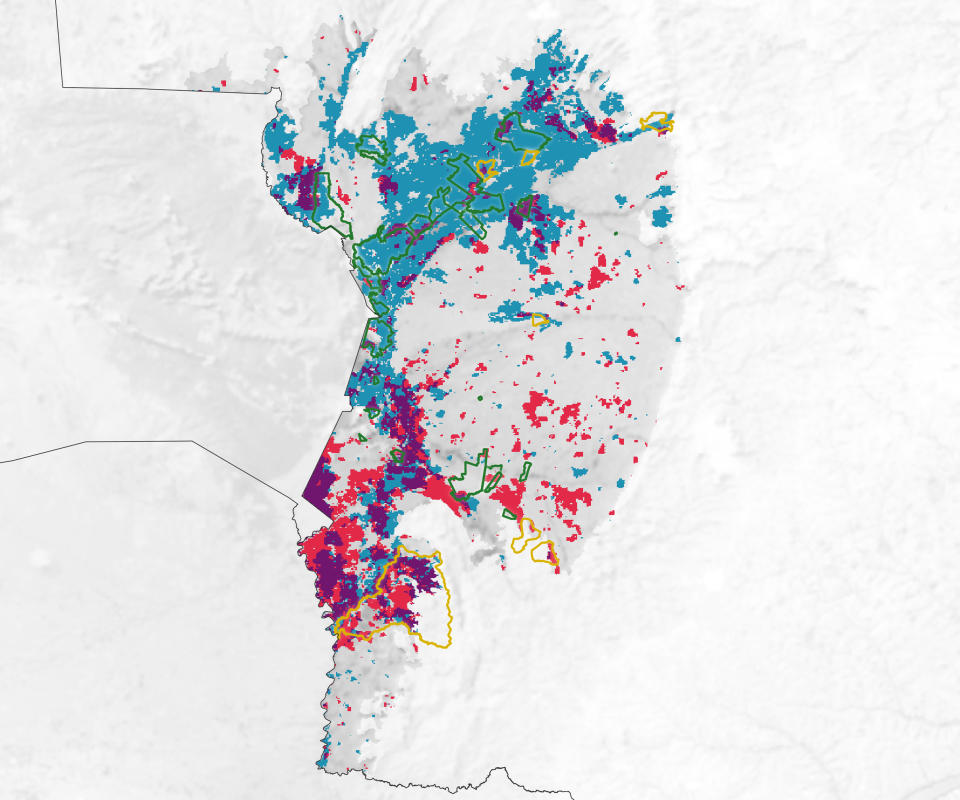 New models suggest that 30% of Brazil's Pantanal wetland was charred during the 2020 wildfires.