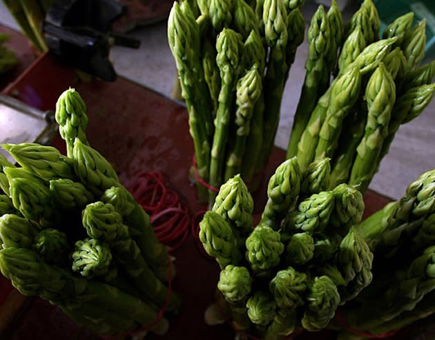 2/ Ce qui fait tout l’intérêt de l’asperge, c’est sa composition : près de 90% d’eau ! Mais cette dernière apporte aussi à l’organisme une grande quantité de fibres. Avec ses 20 calories pour 100 grammes, c’est l’un des aliments à privilégier dans les régimes hypocaloriques.