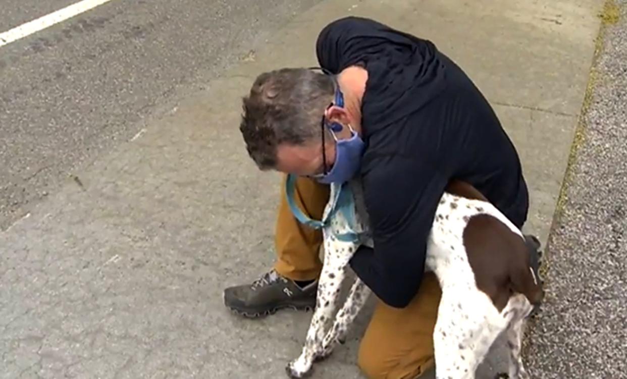 Emotional owner Greg Siesczkiewicz is reunited with his stolen German Short Haired Pointer, Titus.