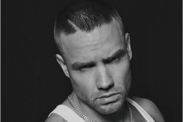 Liam Payne - Credit: Kenneth Cappello