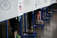 Voters line up to cast ballots on the first day of early voting in New York