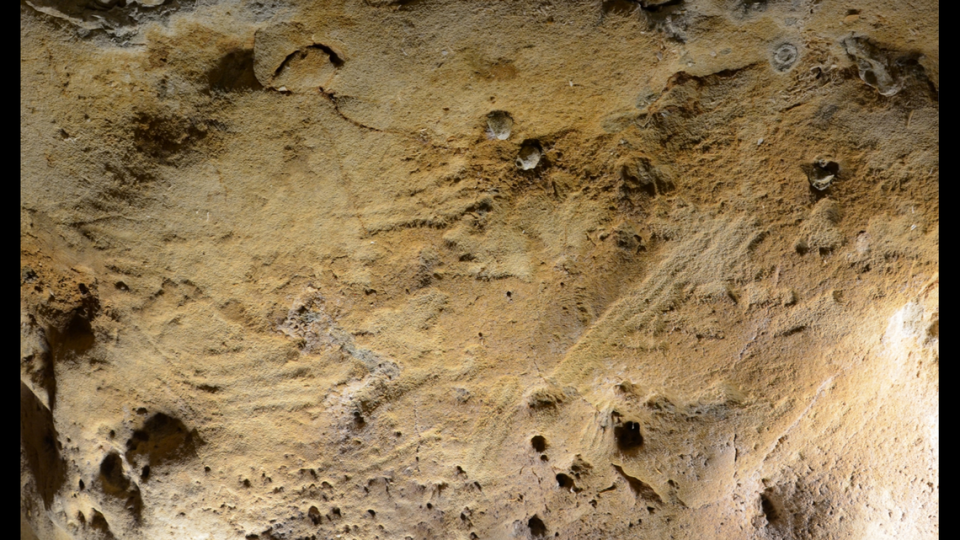 The finger marks were found among animal marks on the walls, experts said. J. Esquerre and H. Lombard