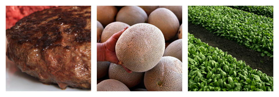 This combination of file photos shows, from left, a hamburger made from ground beef on Tuesday, March 15, 2012, in Concord, N.H., an operator of a fruit and vegetable stand near Denver holding a cantaloupe, Friday, Sept. 16, 2011, and untainted spinach growing near Castroville, Calif., Monday, Sept. 18, 2006. The mad cow found in California has people wondering about food safety, however, there are plenty of everyday risks to the food supply and the chances of mad cow disease sickening people are far lower than the risk of food poisoning from other foods. (AP Photos/File)