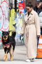 <p>Emily Ratajkowski and husband Sebastian Bear-McClard (not pictured) take their dog Colombo for a walk around their neighborhood in N.Y.C. on Sunday.</p>