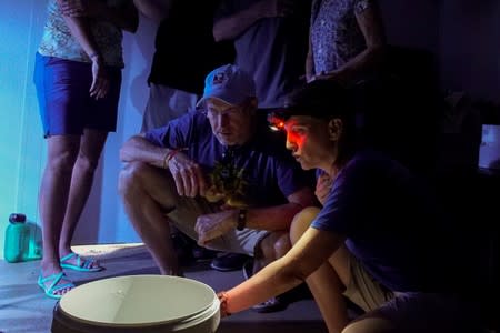 Chief coral scientist Keri O'Neill works to isolate eggs and sperm from Pillar coral (Dendrogyra cylindricus) as it successfully spawns in an aquarium for the first time at a Florida Aquarium facility in Apollo Beach, Florida