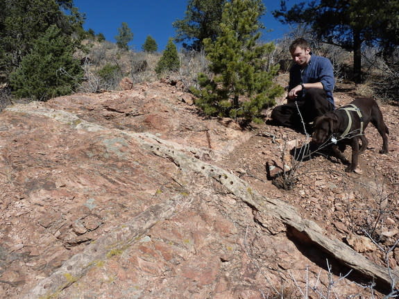 The age and explanation for the formation of the pink-colored Tava sandstone in Colorado's Rocky Mountains have long puzzled geologists.