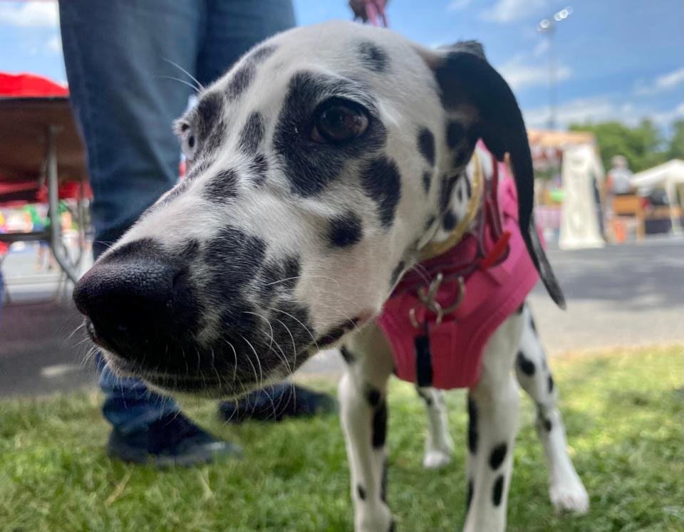 Thousands of people poured into Staunton on Monday for the first Fourth of July celebration since the COVID pandemic began.