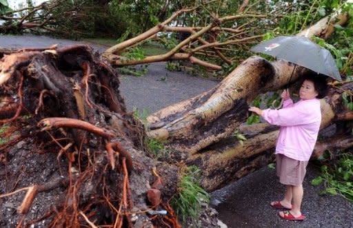 A woman looks at a tree that was blown down when Typhoon Tembin hit Taitung in eastern Taiwan on August 24. Taiwan warned Sunday that Typhoon Tembin was likely to return as people struggled to clear mud-filled homes after the storm pounded the south of the island with the heaviest rains in more than a century