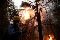 A man fights wildfires in Santa Monica near Concepcion