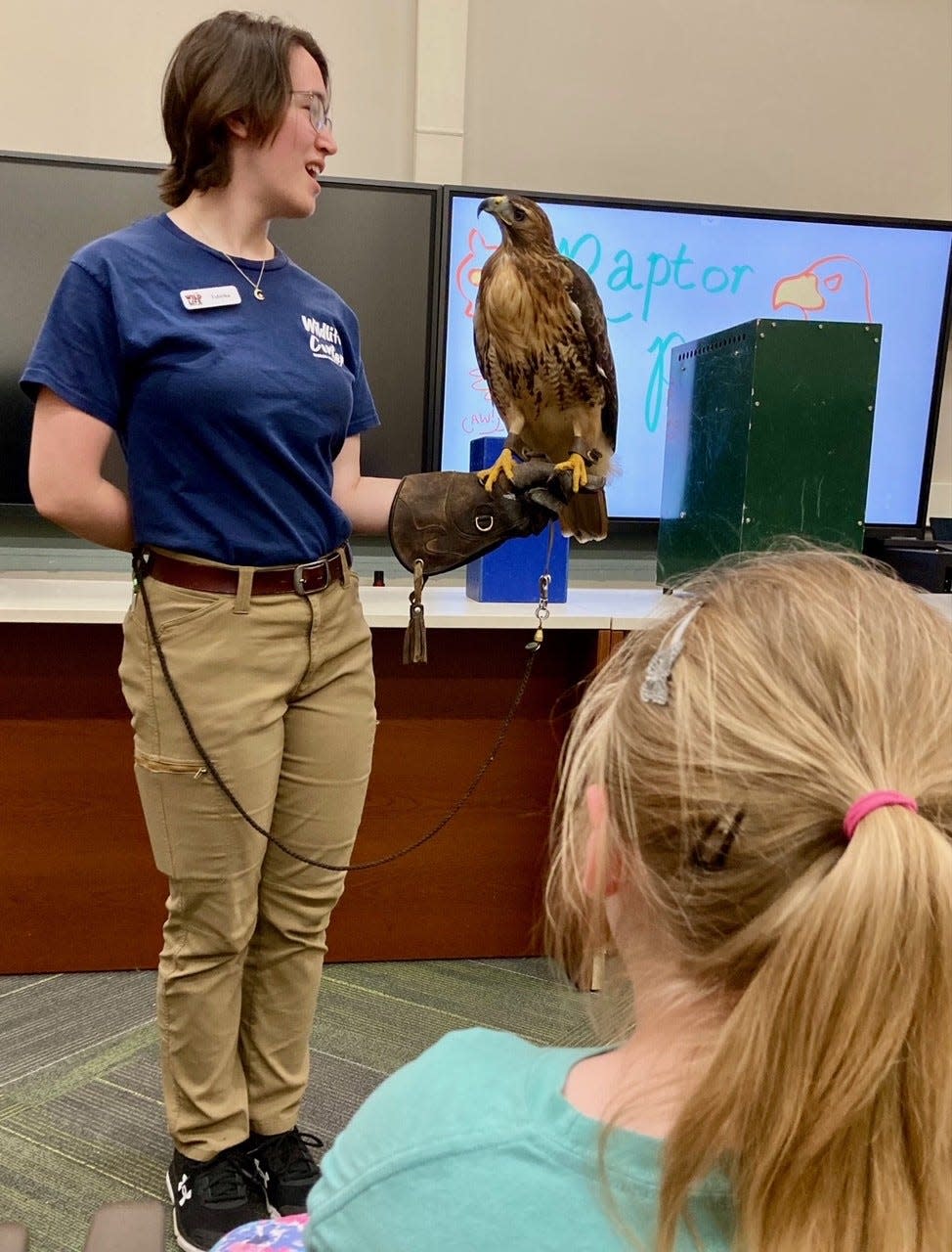 Student employee, Tabitha Tederstrom, introduces the audience to a red-tailed hawk.