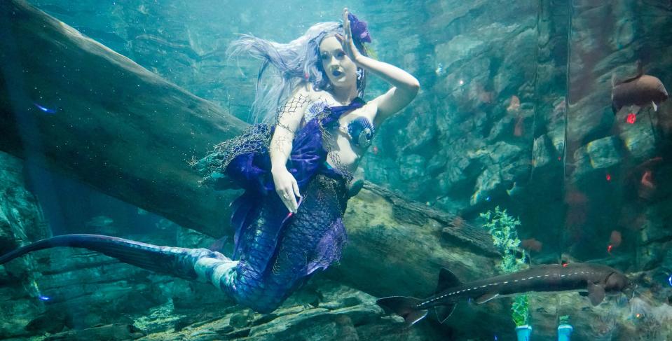Claire VanValkenburg, a UWM graduate, performs as Mermaid Echo while educating kids at Discovery World about freshwater science and conservation in the Lake Michigan Tank — Reiman Aquarium