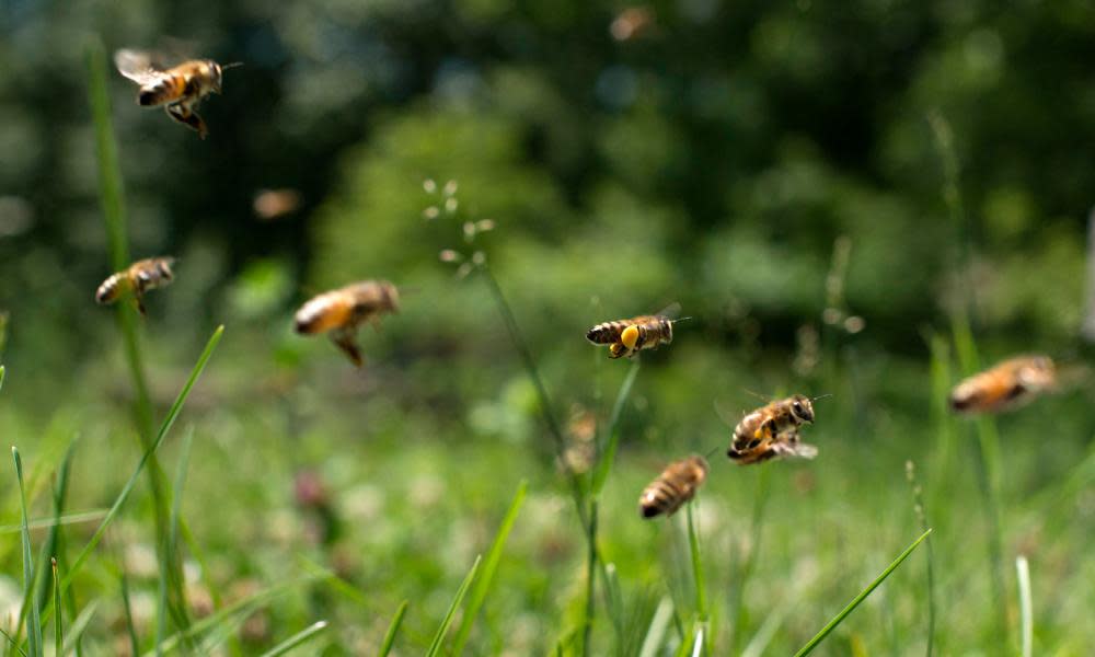 <span>Photograph: Bloomberg/Getty Images</span>