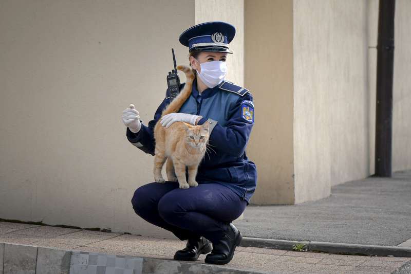 寵物染武漢肺炎：貓跑到羅馬尼亞女警腿上（AP）