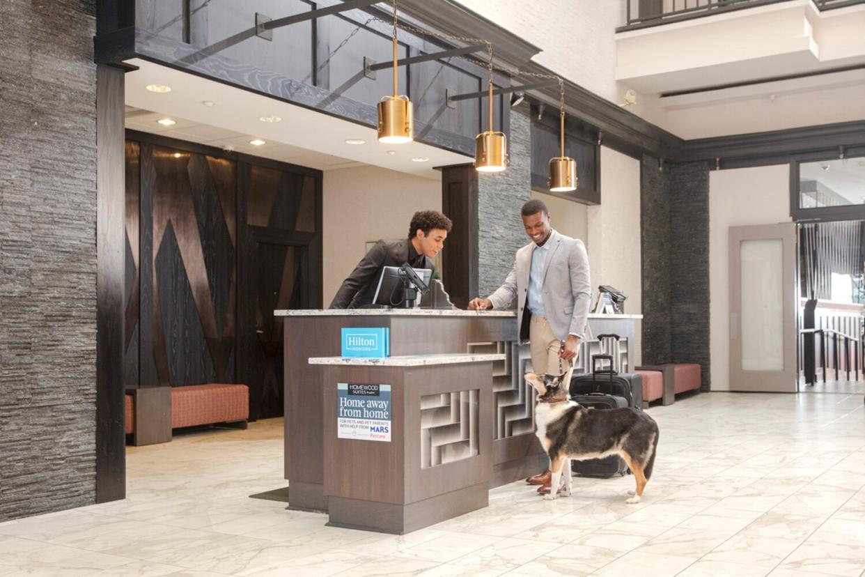 Hilton Homewood Suites now pet friendly