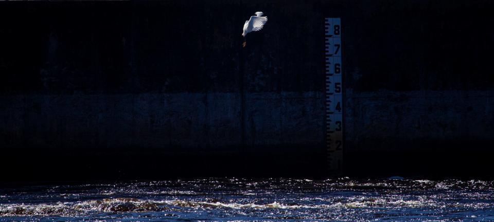 Water rushes through the Franklin Locks in Alva on the Caloosahatchee River on Monday, Feb. 26, 2024. The Army Corp of Engineers started releases on Feb. 17 due to high lake levels and continued El Nino conditions.