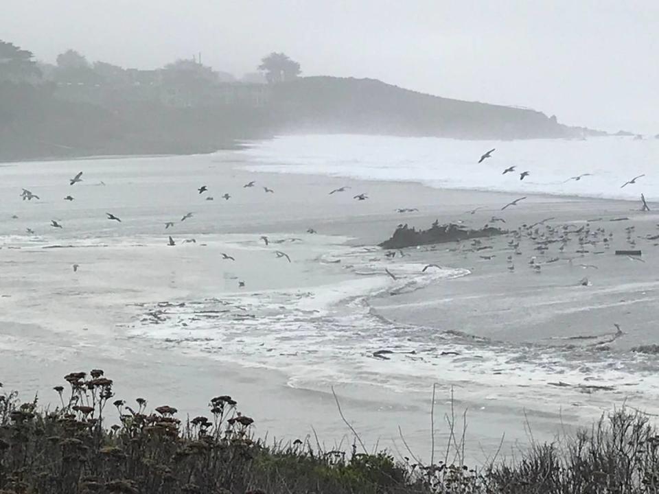 High surf runs over Moonstone Beach meeting Santa Rosa Creek in Cambria on Dec. 28, 2023.