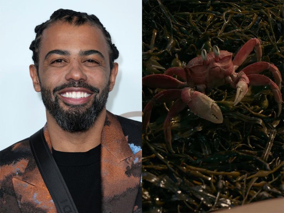 On the left: Daveed Diggs in February 2023. On the right: Sebastian in the 2023 live-action "Little Mermaid" film.