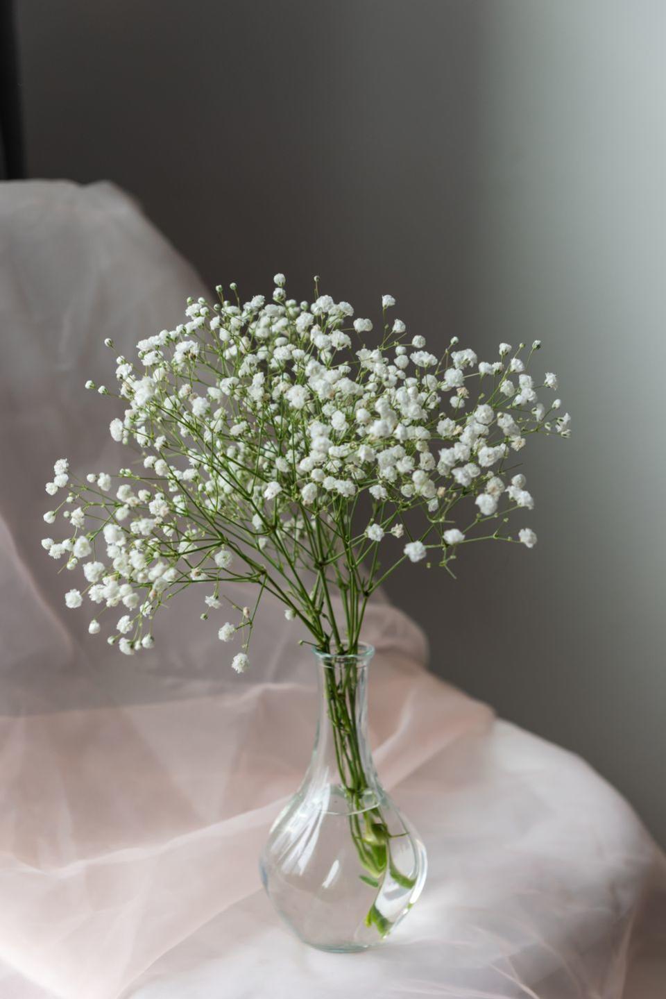 white flowers, selective focus elegant white gypsophila flower in vase