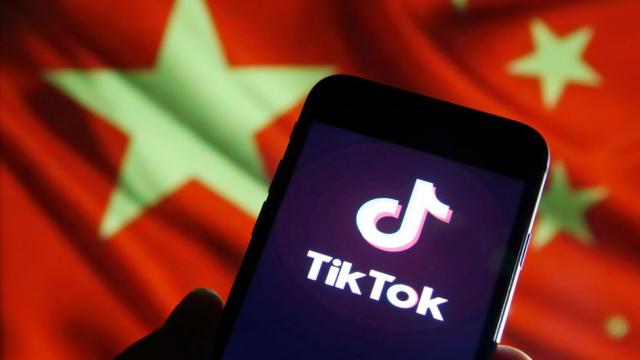 Comprar Celebridad de Internet Tiktok Boom transformado oso de