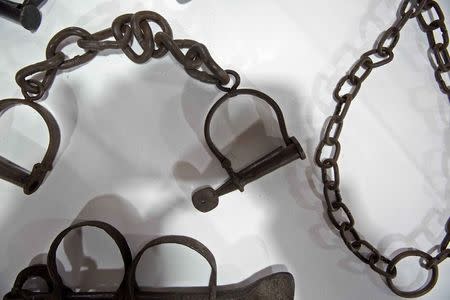 Shackles used to bind slaves on display at the Whitney Plantation in Wallace, Louisiana January 13, 2015. REUTERS/Edmund Fountain