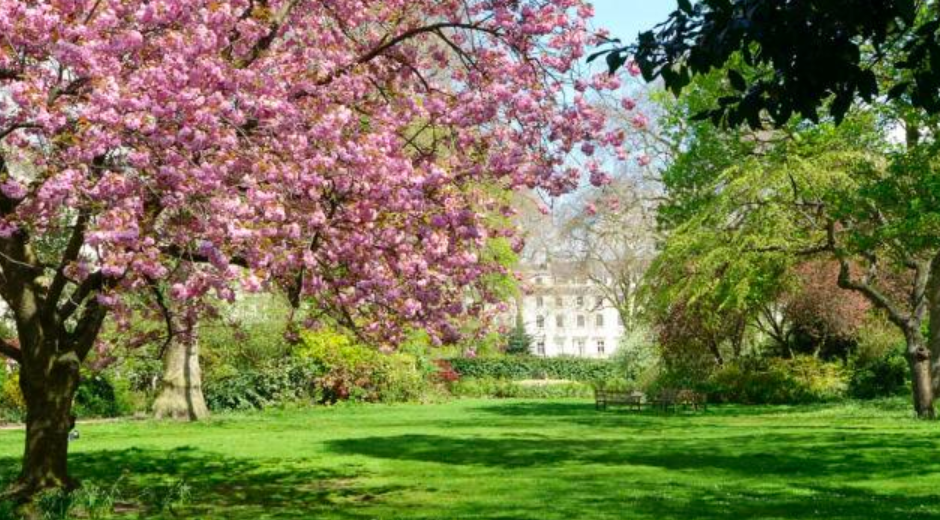 Picturesque Belgravia Square. Photo: Zoopla