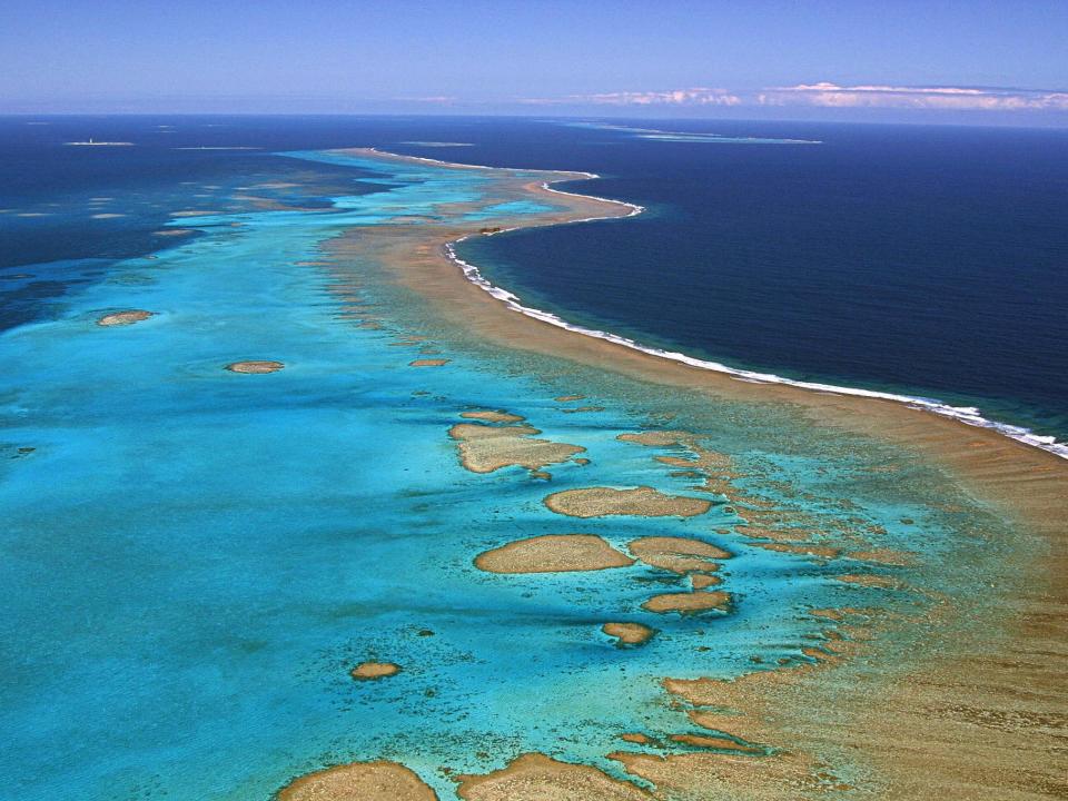 The current global coral bleaching event is the longest and most widespread ever recorded (AFP/Getty)