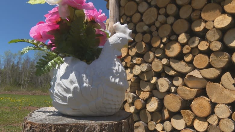 How a P.E.I. man transformed 5 cords of firewood into a cabin