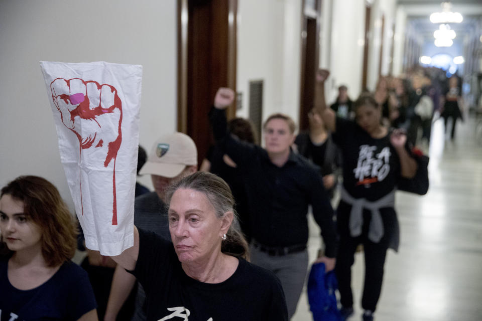 Anti-Kavanaugh protesters