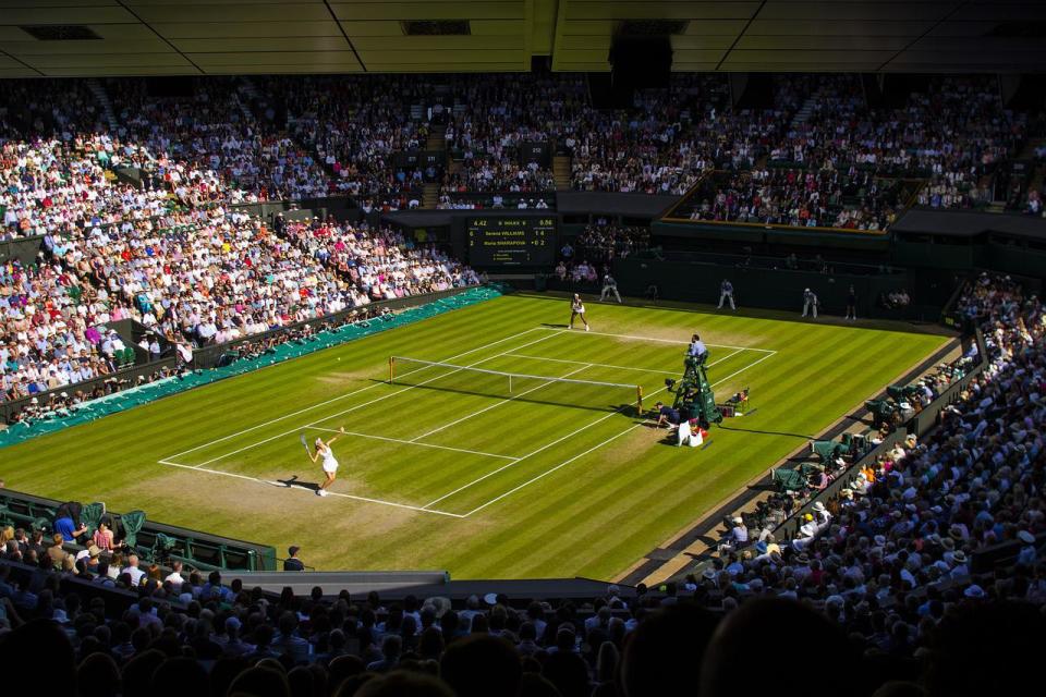 wimbledon, final, tenis pixabay