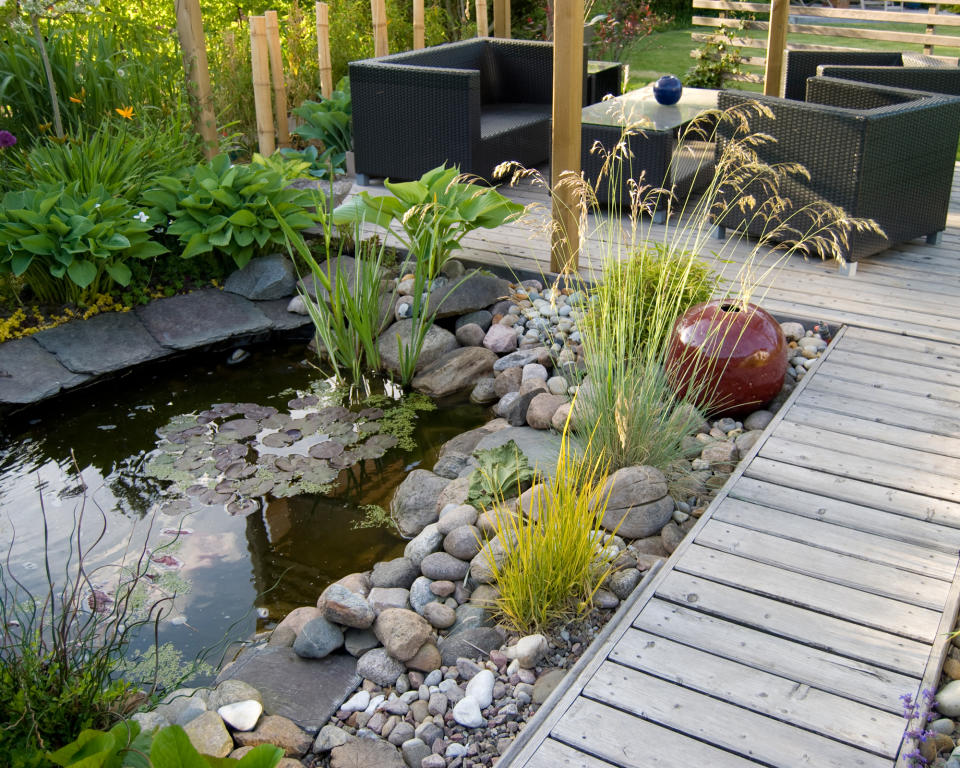 16. Create a wildlife-friendly backyard with a pond