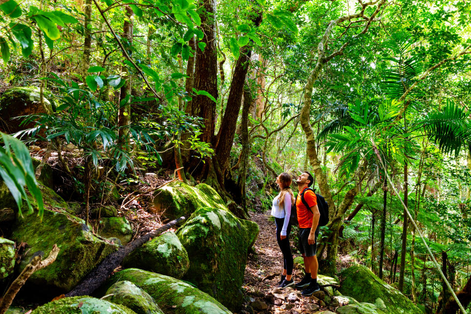 Couple exploring in the lush Lamington National Park, Queensland, Australia