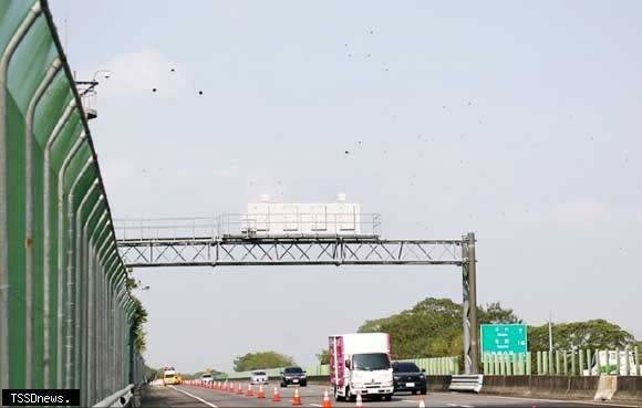 設置防護網，以利紫斑蝶維持飛行高度順利飛越國道。（圖：高公局提供）