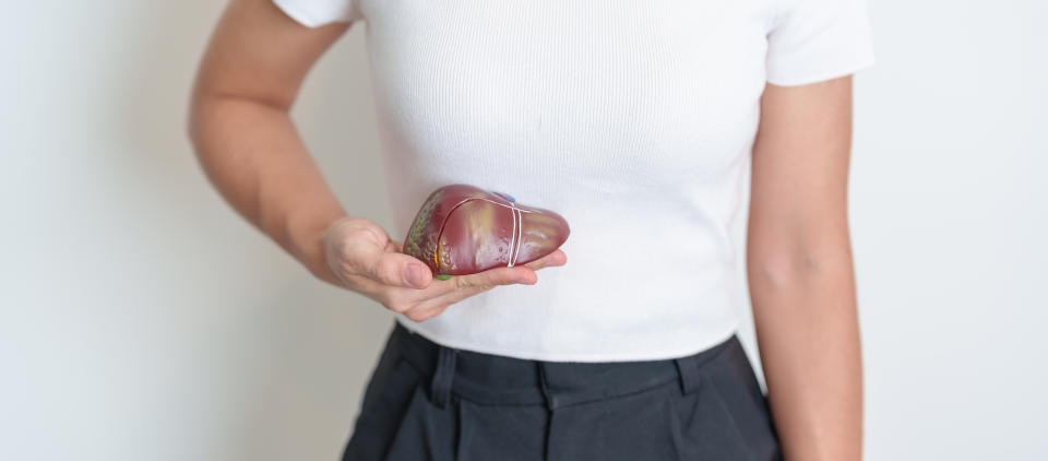 Woman holding human Liver anatomy model. Liver cancer and Tumor, Jaundice, Viral Hepatitis A, B, C, D, E, Cirrhosis, Failure, Enlarged, Hepatic Encephalopathy, Ascites Fluid in Belly and health