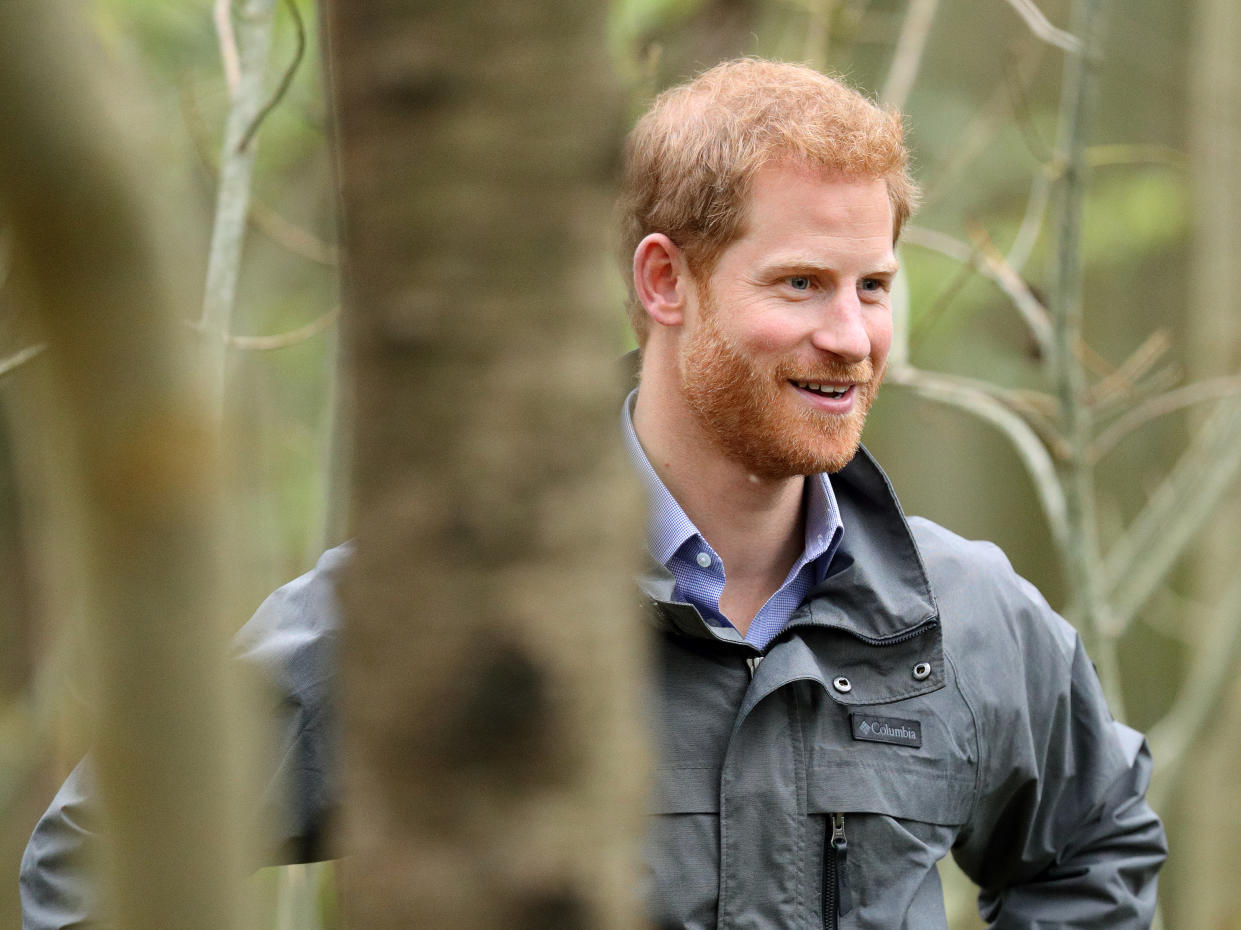 PRESTON, UNITED KINGDOM - OCTOBER 23: (EMBARGOED FOR PUBLICATION IN UK NEWSPAPERS UNTIL 48 HOURS AFTER CREATE DATE AND TIME) Prince Harry visits Myplace at Brockholes Nature Reserve, a project which aims to empower young people by encouraging them to take action in environmental activity to improve areas for wildlife, communities and their own wellbeing on October 23, 2017 in Preston, England. (Photo by Max Mumby/Indigo/Getty Images)